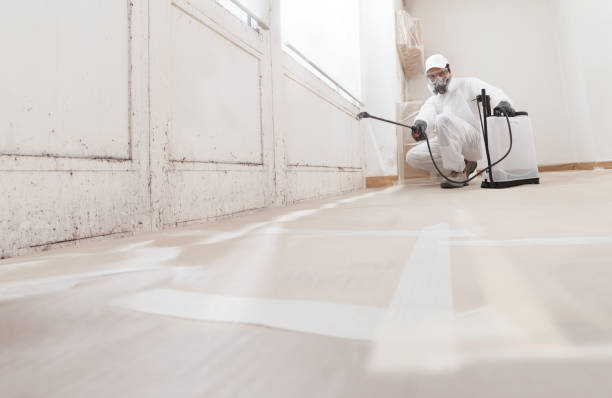 24/7 Emergency Mold Removal experts in Bethesda, MD